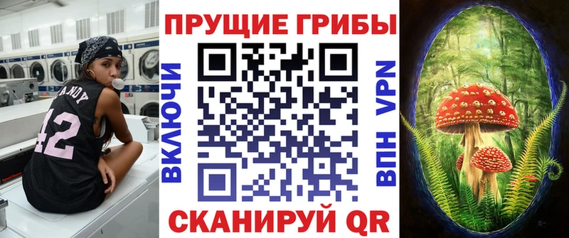 Псилоцибиновые грибы Cubensis  Купить где  Невинномысск 