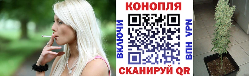 Конопля Bruce Banner Невинномысск